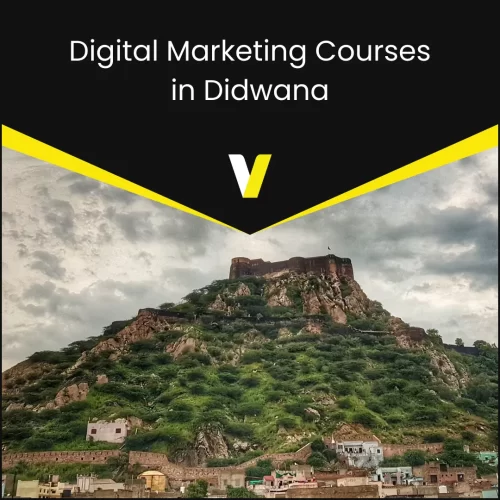 Digital Marketing Courses in Didwana