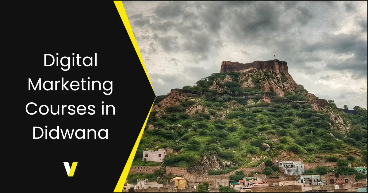 Digital Marketing Courses in Didwana