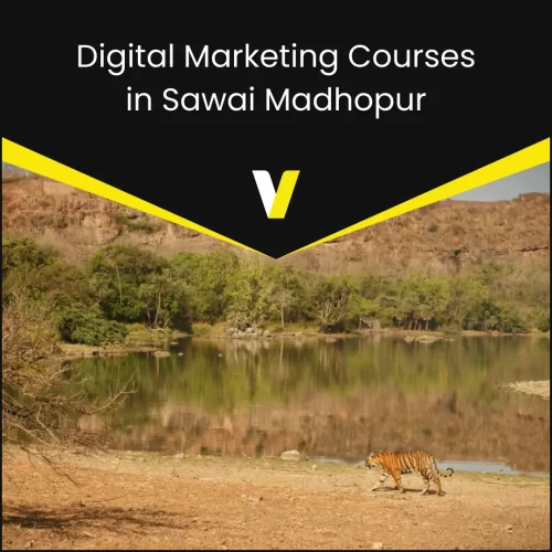 Digital Marketing Courses in Sawai Madhopur