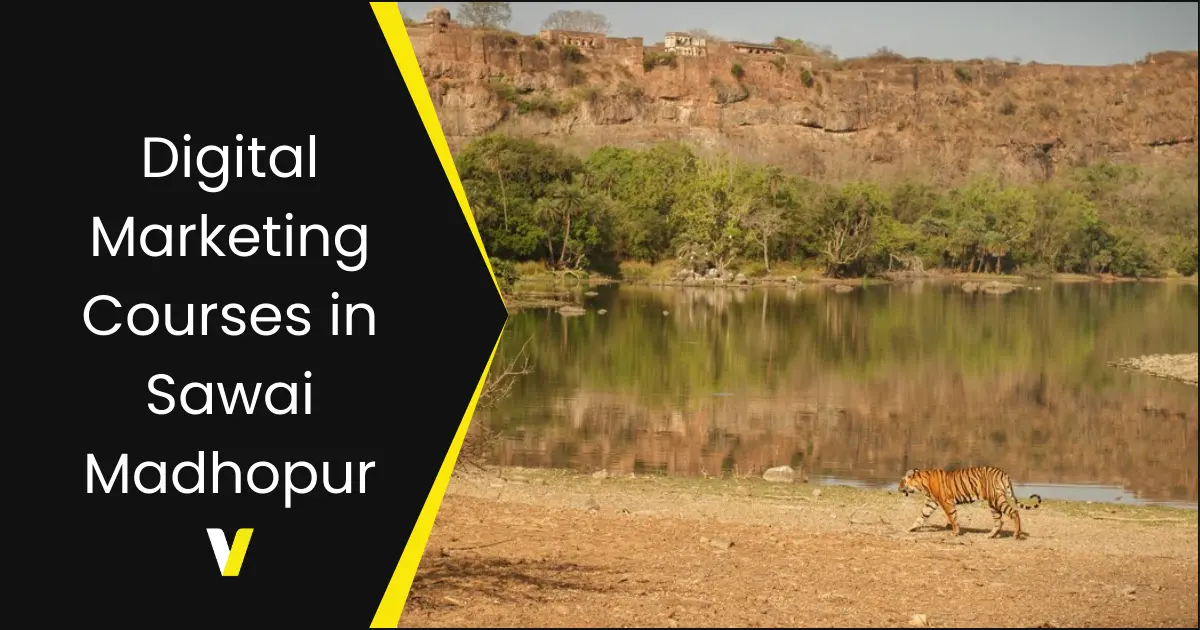 Digital Marketing Courses in Sawai Madhopur
